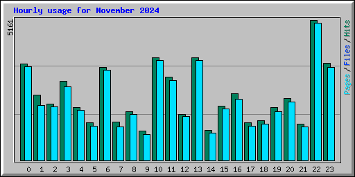 Hourly usage for November 2024