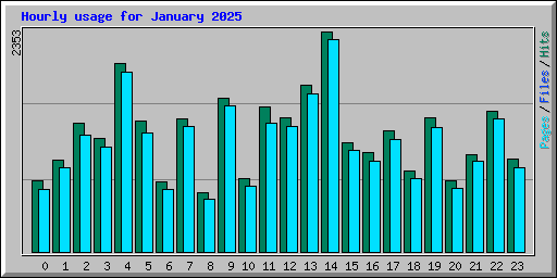 Hourly usage for January 2025