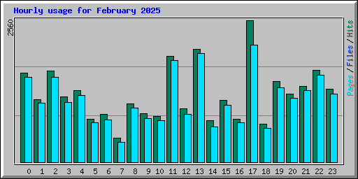 Hourly usage for February 2025